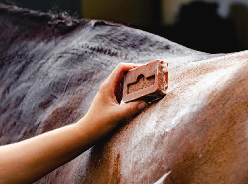 Kevin Bacon's Active Soap-1